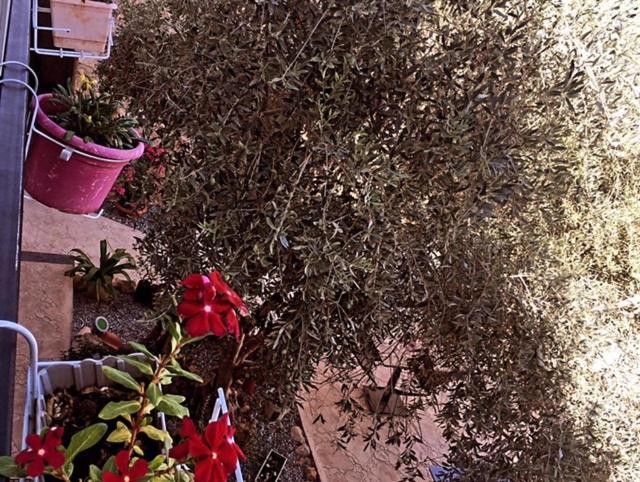 Bella Casetta Guest House Famagusta (Northern Cyprus) Exterior foto